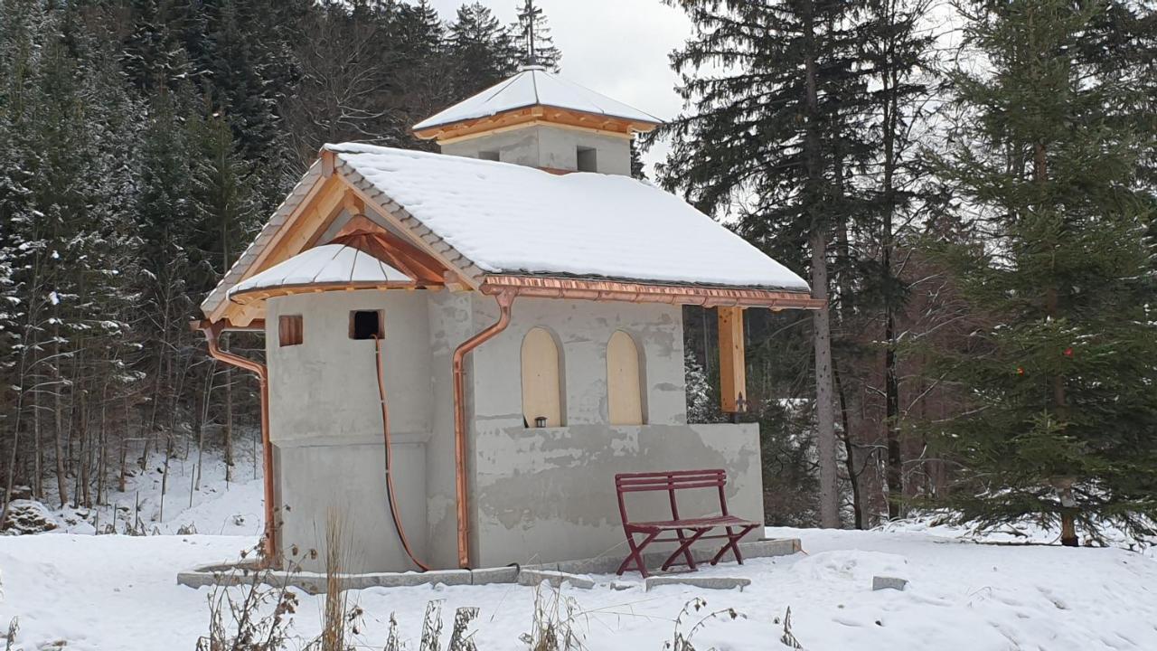 Anita's Nahe Neuschwanstein Apartmán Reutte