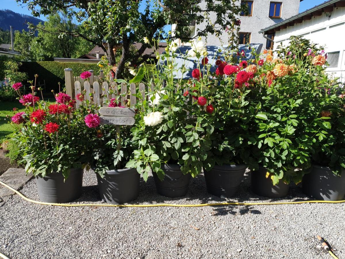 Apartment Anita's Reutte